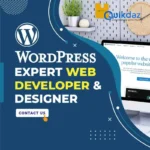 custom wordpress development services